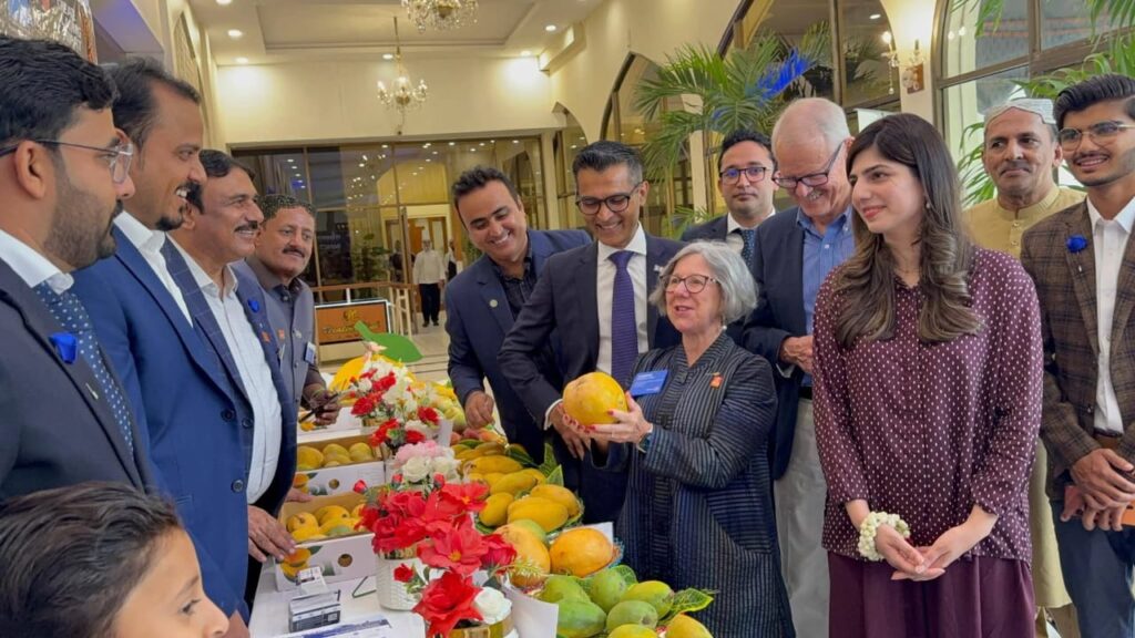 Display of premium Mirpurkhas mango varieties showcased at the Rotary Mini Mango Festival held at PC Hotel Karachi.
