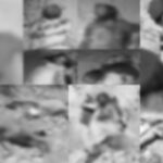 Balochistan Operation Security Forces Say 75 Militants Killed Since July 5