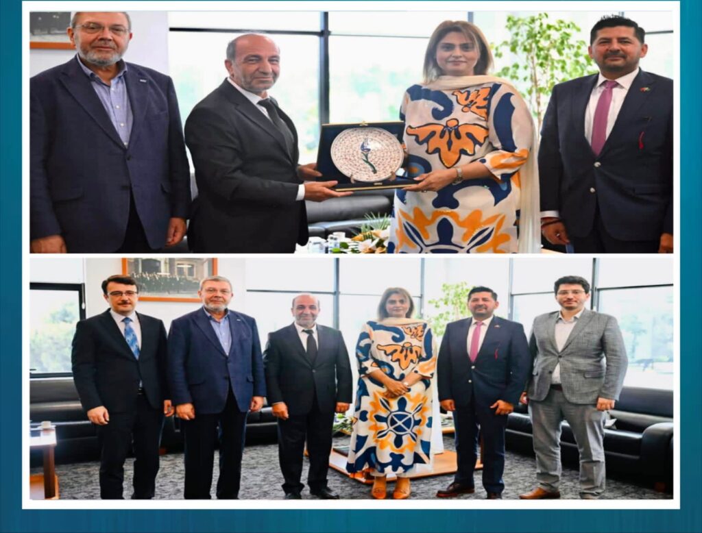FPCCI Vice President Qurrat ul Ain and Bursa Chamber of Commerce officials hold talks on expanding Pakistan-Türkiye trade and investment cooperation.