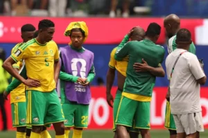 African supporters cheering during a FIFA World Cup match as politics shapes fan loyalty.