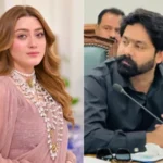 Momina Iqbal: Court Extends Interim Bail of PML-N MPA Saqib Chaddar and Wife Until July 28