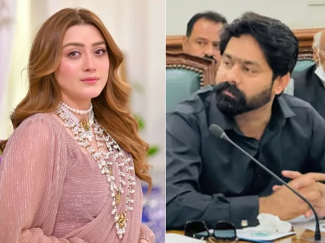 A Lahore sessions court hears the cyber harassment case involving actor Momina Iqbal and PML-N MPA Saqib Chaddar.