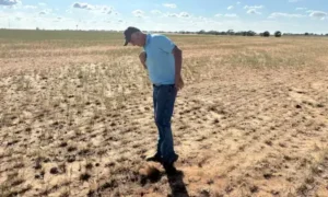 Strong El Niño weather pattern could cause extreme global weather changes