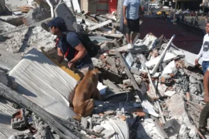 Rescue teams respond after powerful Colombia earthquake damages buildings