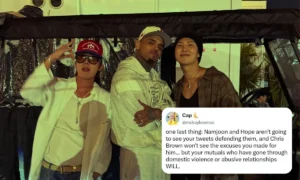 BTS RM and J-Hope attend Chris Brown concert as fans debate their decision