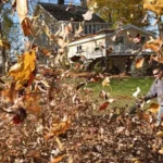 Electric Landscaping Tools Gain Ground as Cities Push to Cut Noise and Pollution