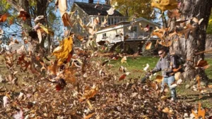 Electric landscaping equipment is emerging as a quieter alternative to petrol-powered tools.