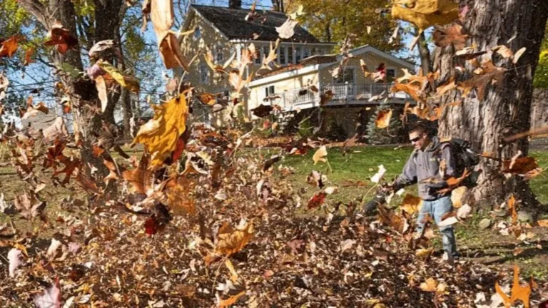 Electric landscaping equipment is emerging as a quieter alternative to petrol-powered tools.