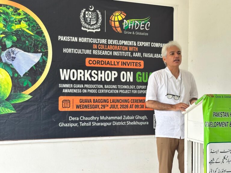 PHDEC officials and guava growers participate in the Summer Guava Bagging Pilot Project in Sharaqpur, Punjab.