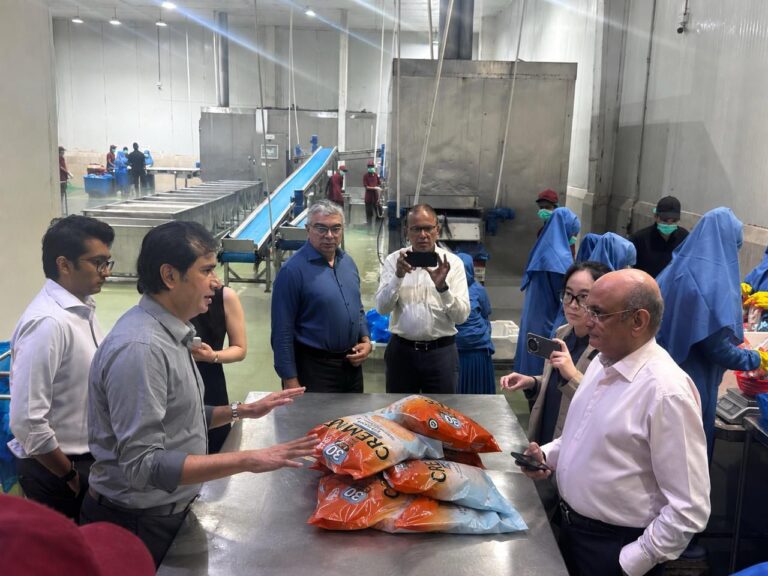 Pakistan seafood products entering European supermarket markets as exports expand.