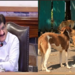Month-Long Rabies Awareness Campaign Launched Across Sindh