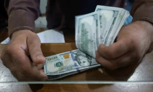 Exchange companies dollar sales to banks rise in Pakistan