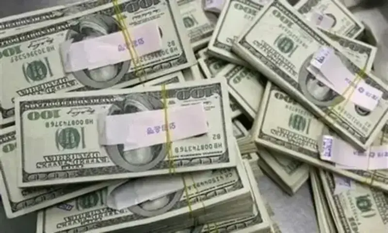 Pakistan foreign economic assistance inflows and Naya Pakistan Certificates investment