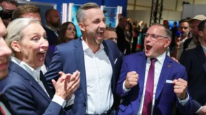 AfD supporters during the Saxony-Anhalt election in Germany