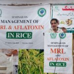 TDAP Holds Seminar in Okara to Strengthen Rice Safety and Export Standards