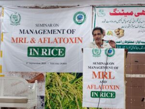 TDAP seminar on aflatoxin control and MRL management for rice stakeholders in Okara.