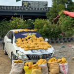 Pakistan Customs Seizes 212kg of Hashish in Karachi
