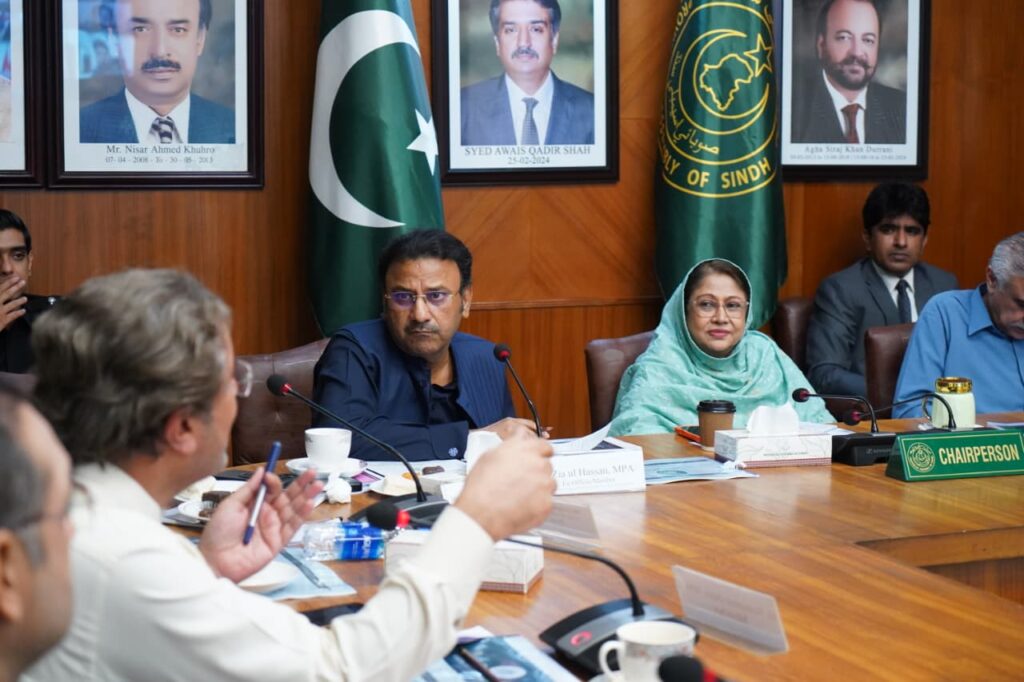 Faryal Talpur chairs Sindh Assembly meeting on drug control and law and order.