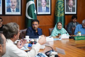 Faryal Talpur chairs Sindh Assembly meeting on drug control and law and order.