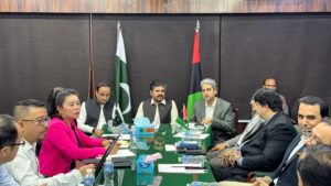 Nasir Hussain Shah meeting Chinese investors on Karachi firefighting and water projects