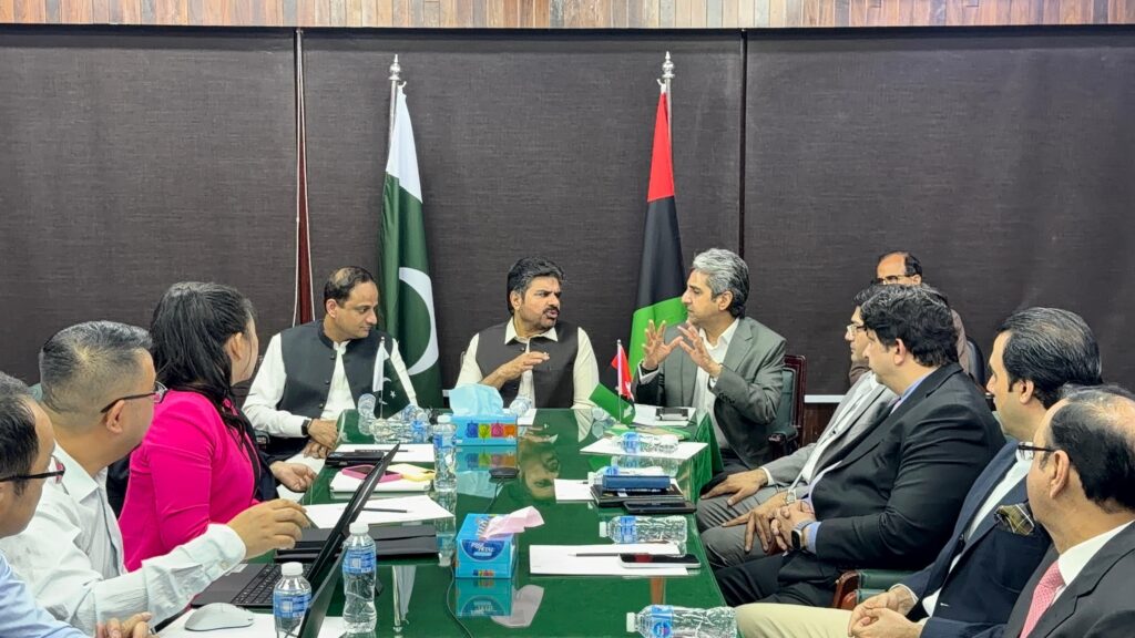 Nasir Hussain Shah meeting Chinese investors on Karachi firefighting and water projects