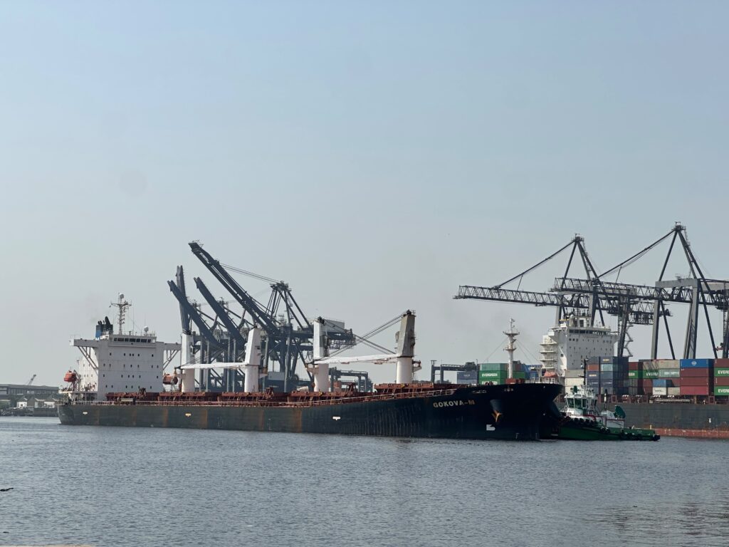 Wheat Cargo handling at Karachi Port through KGTML, with MV GOKOVA M arriving and MV GREAT RAINBOW expected with bulk wheat shipments.