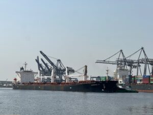 Wheat Cargo handling at Karachi Port through KGTML, with MV GOKOVA M arriving and MV GREAT RAINBOW expected with bulk wheat shipments.