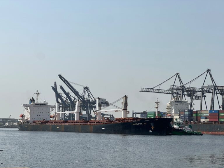 Wheat Cargo handling at Karachi Port through KGTML, with MV GOKOVA M arriving and MV GREAT RAINBOW expected with bulk wheat shipments.